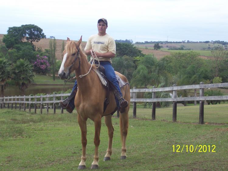 ONDA DO MOSTEIRO
