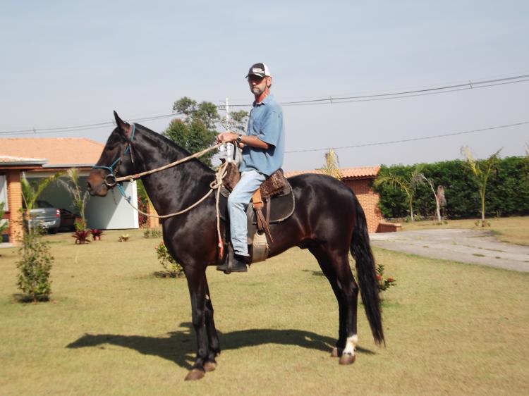 TREVO DO NEVOEIRO