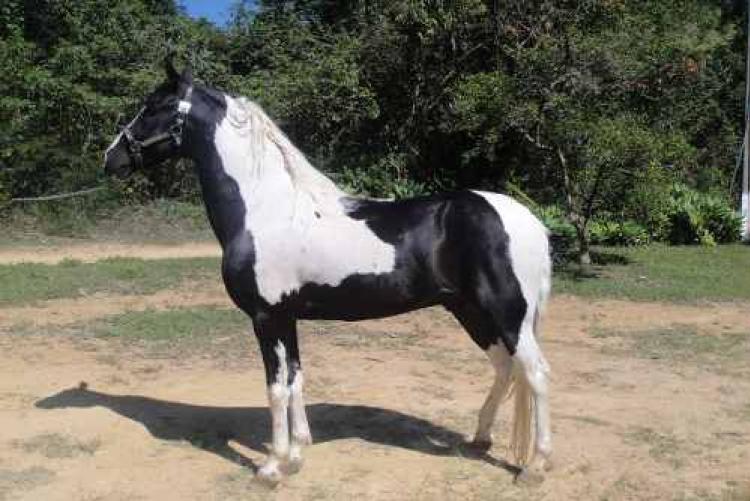 RADAR HARAS NC
