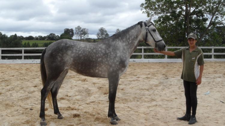 ETOILE DA RIGOR