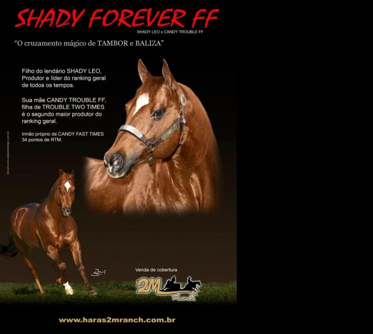 SHADY FOREVER FF