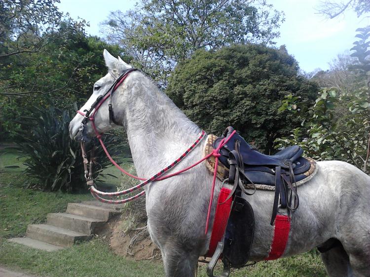 TAPETE MORRO GRANDE DA ZIZICA