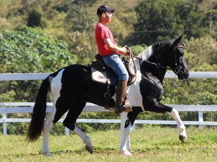 JJ DEMOLIDOR DO GARDEN