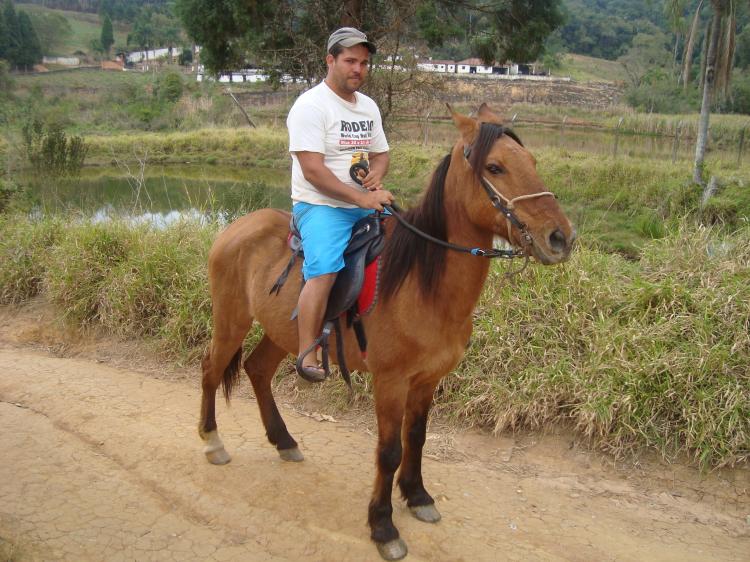TORNADO DO CAVALO GRANDE