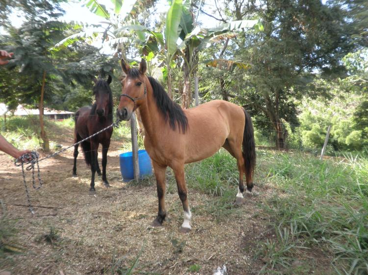 BAIÃO