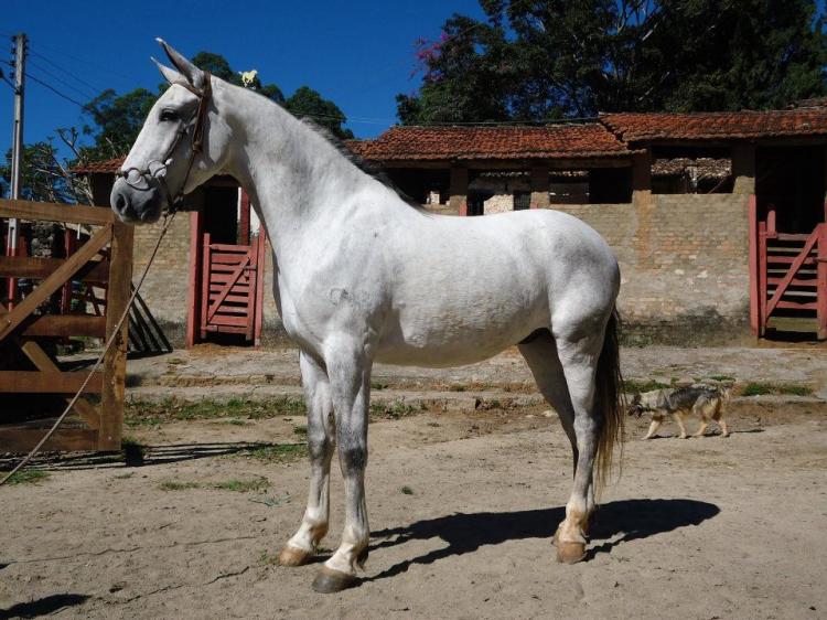 ASTUTO CAXAMBUENSE