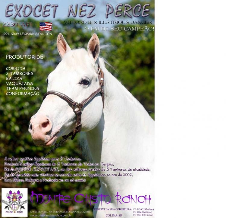 EXOCET NEZ PERCE