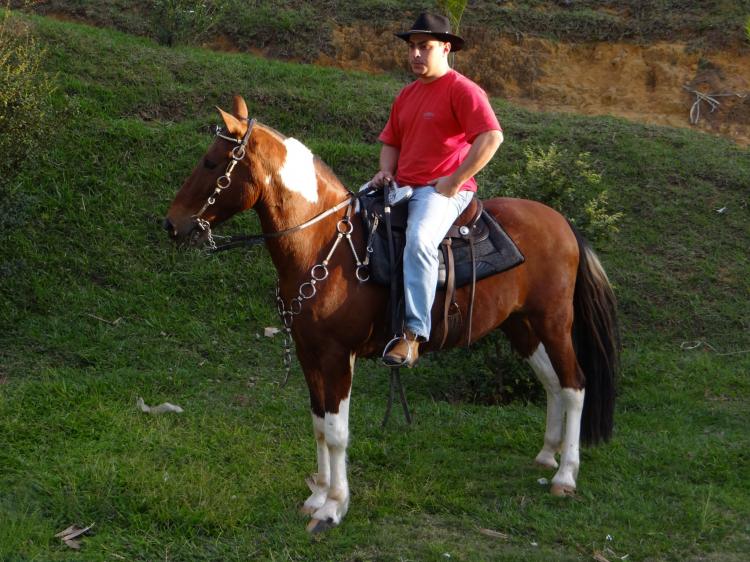 APACHE DO RANCHO DO LEÃO