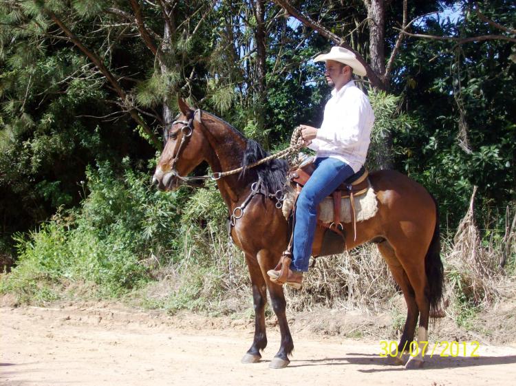 CAXAMBU DA MANSIDÃO