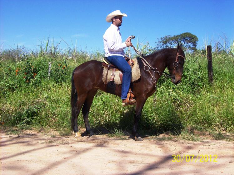 MOÇA DA MANSIDÃO