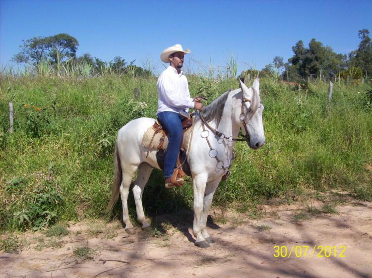 GAROTO DA MANSIDÃO