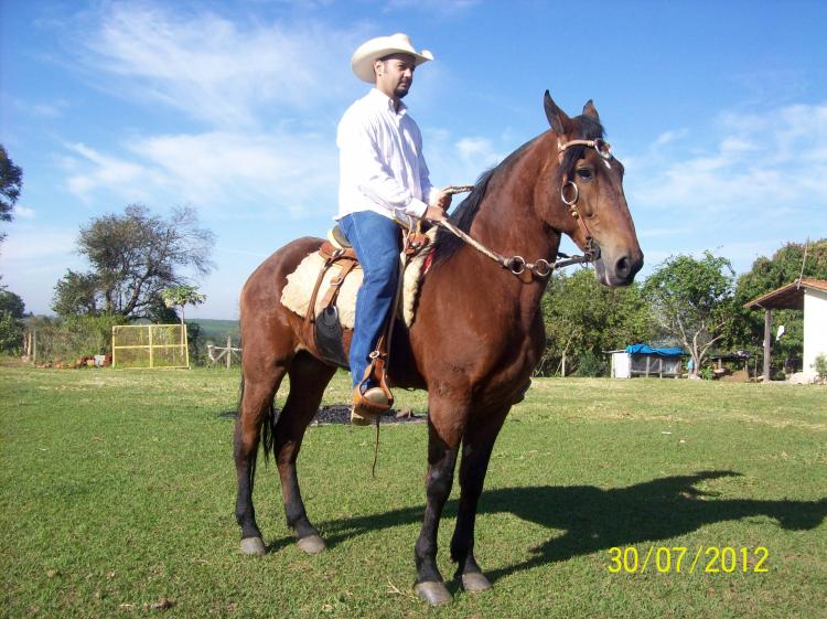 CORONEL DA MANSIDÃO
