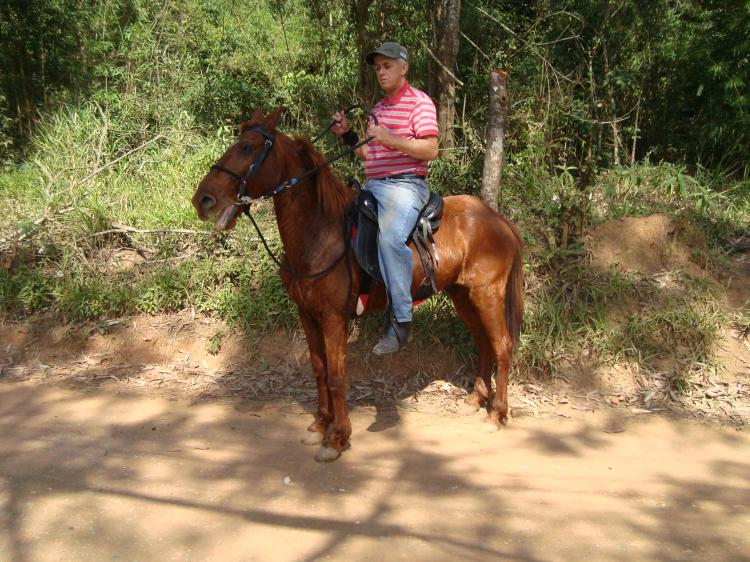 FAÍSCA DO BH