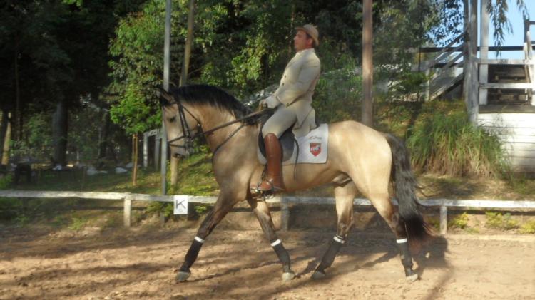 EMPERADOR SW
