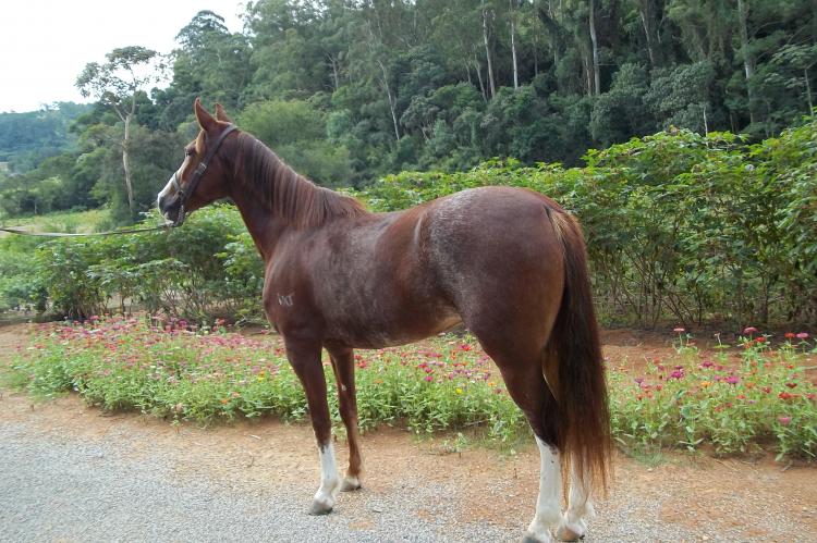 HONDURAS VAT