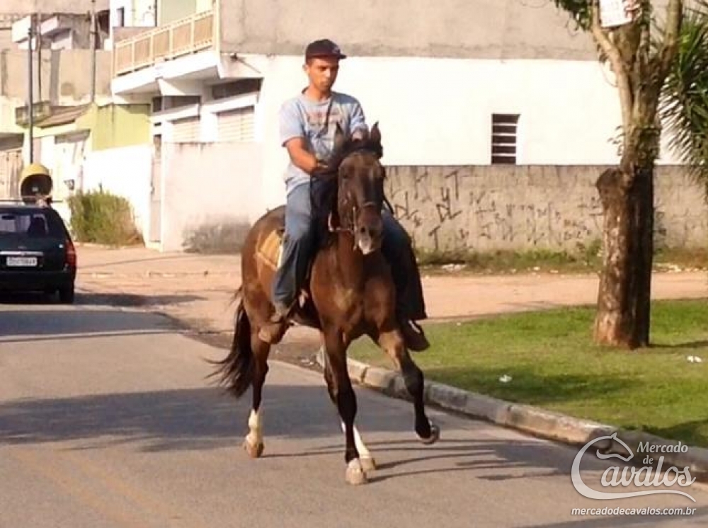 FEITIÇO DA JOMAR