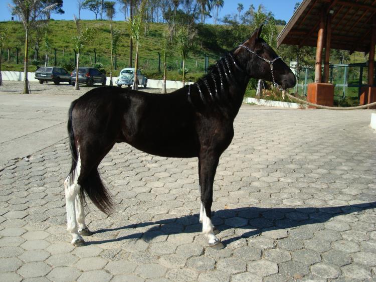 NEGRO RM