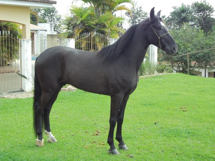 BATUQUE MAIRIFLOR