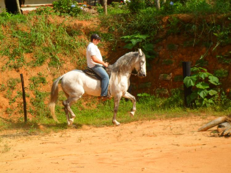 QUARTEL DA MORADA NOVA