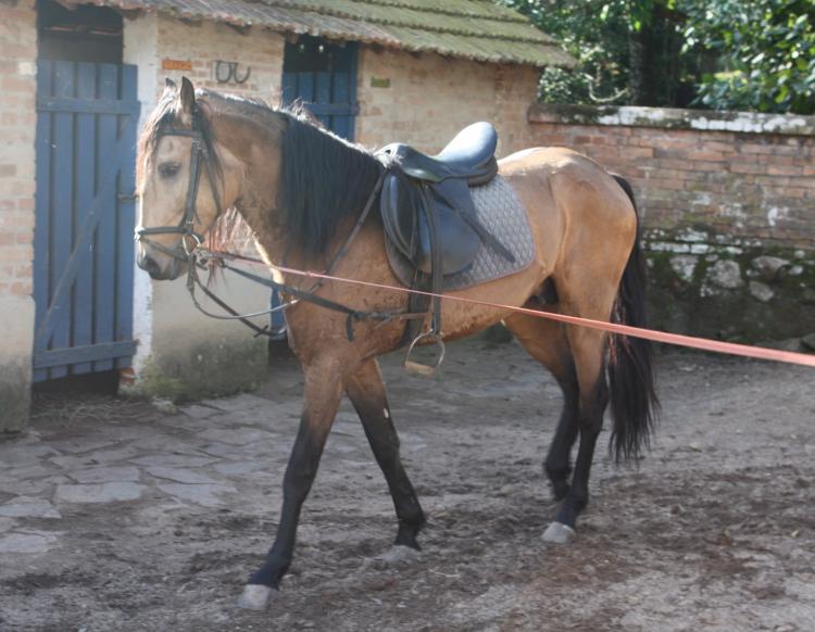 ESBELTO INTERAGRO