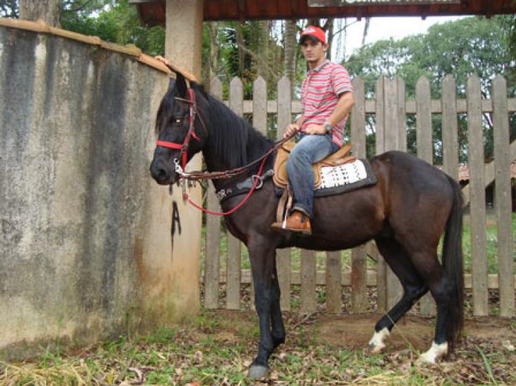 CAPITÃO DO PASSO FINO NEGRO