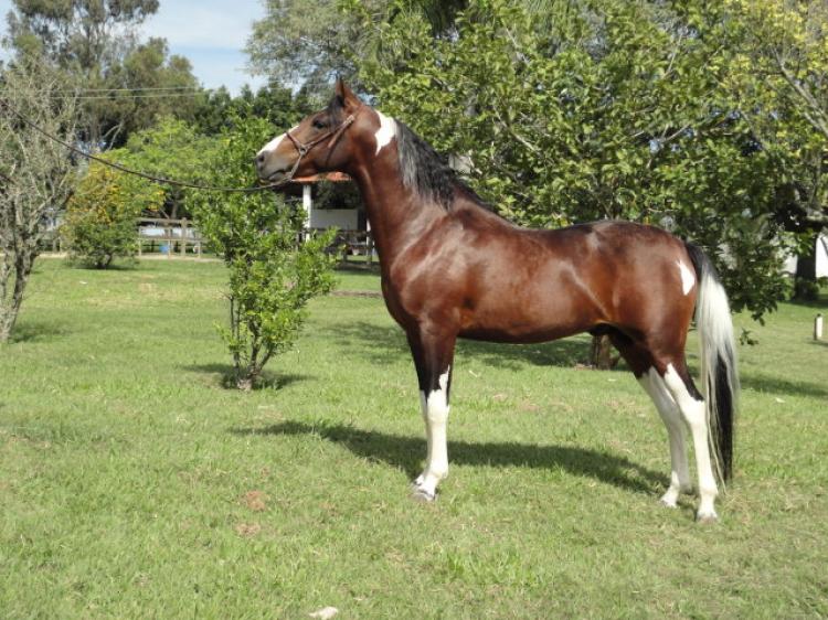 QUIROGA DO EBE