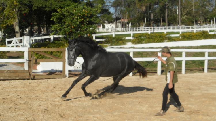 FADO DA RIGOR