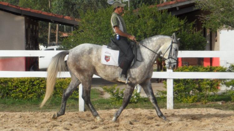 EMILION SEVEN