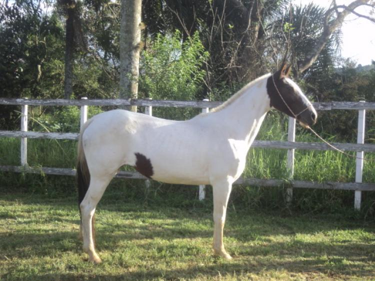 FAÇANHA DO LUTY