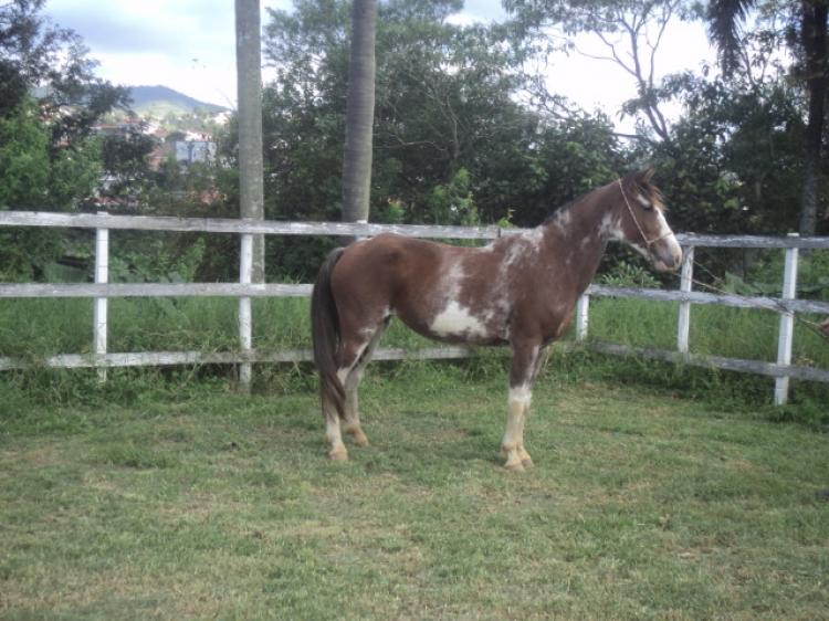 FACEIRA DO LUTY