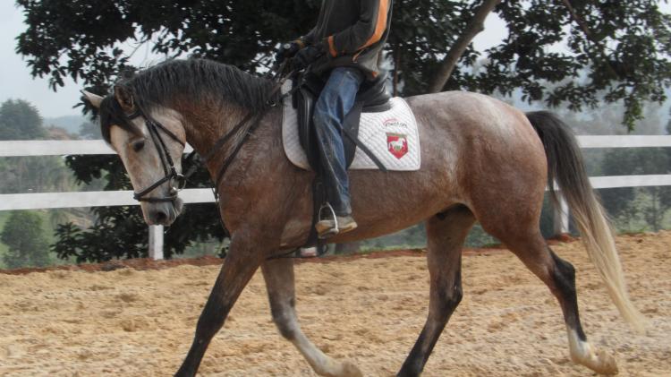ESQUADRAO HM