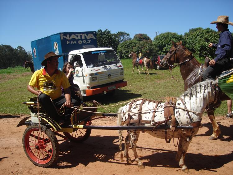 PINGO