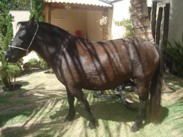 MAIZENA