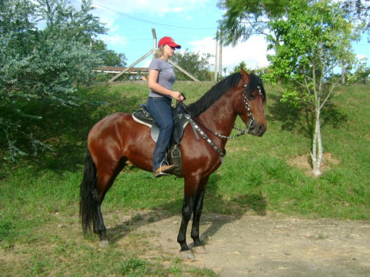 PIRATA DO RANCHO ESTRELA