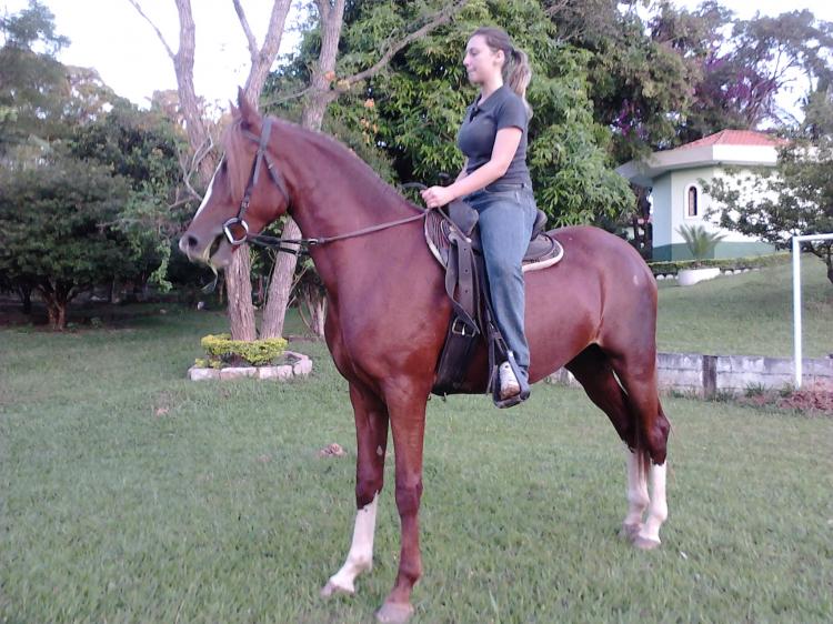 SAFIRA DO RANCHO ESTRELA