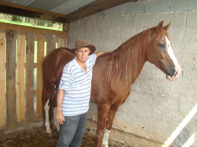 MORANGO J.O.