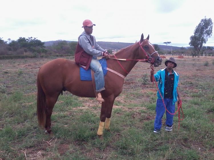MUCHACHO FLY