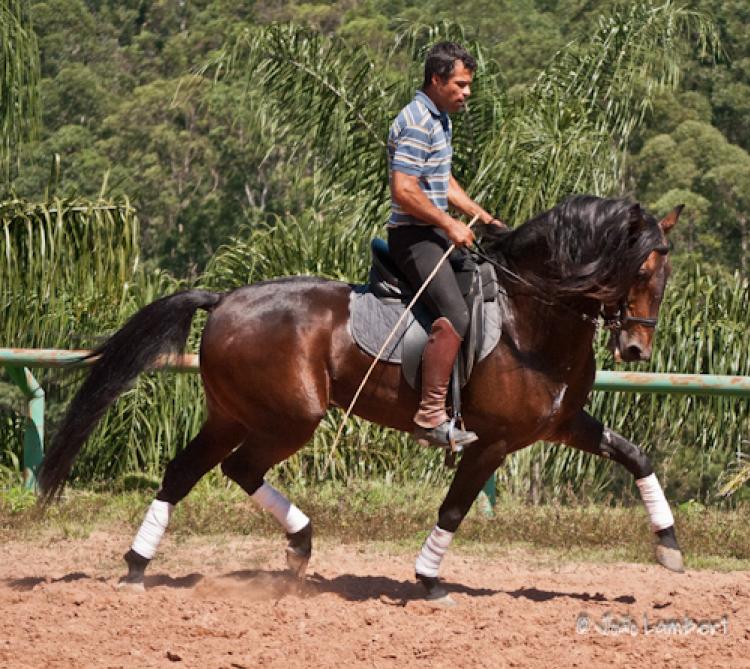 XANTENO INTERAGRO