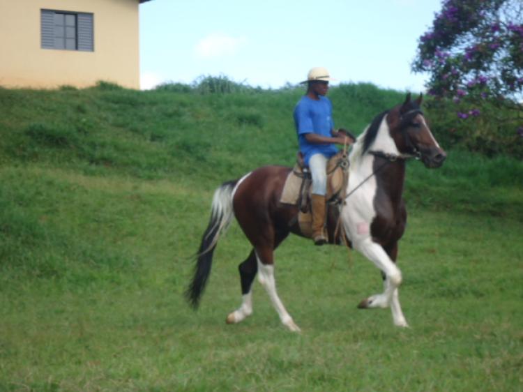 DESAFIO MARAVILHA