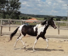 FUZILEIRO