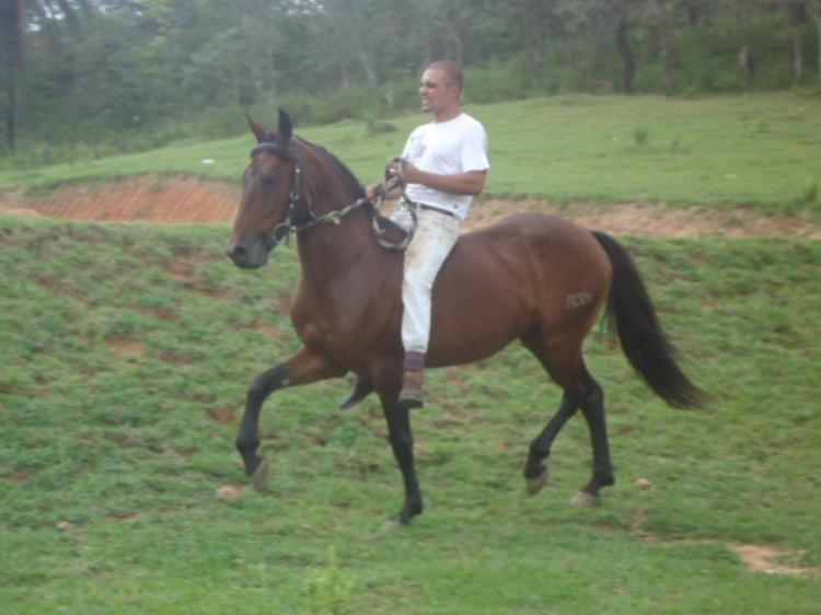 CALOR DA ENCRUZILHADA