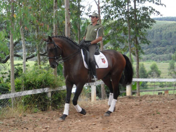 ZINCO DO TOP