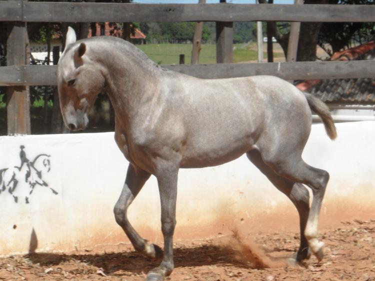 GANGES INTERAGRO