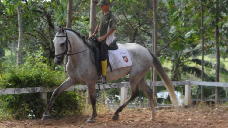 CAJADO DOS REIS