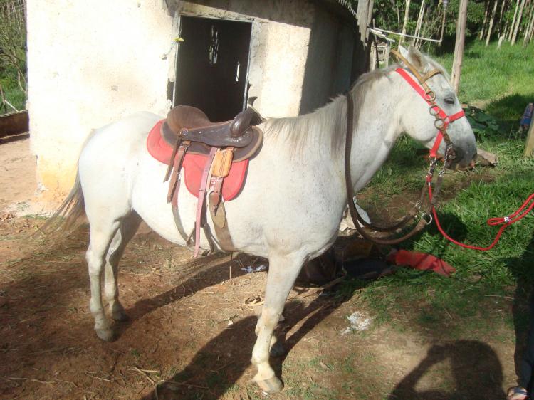 BLANCO DE CAUCAIA