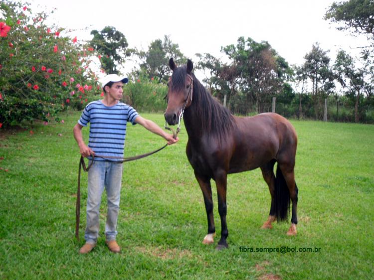 DESACATO