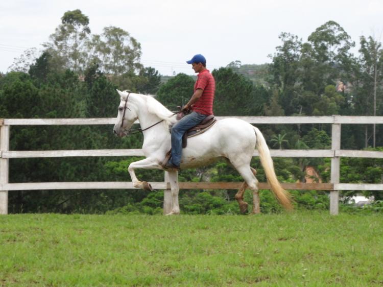 XERIFE DA PURA (VEGAS)