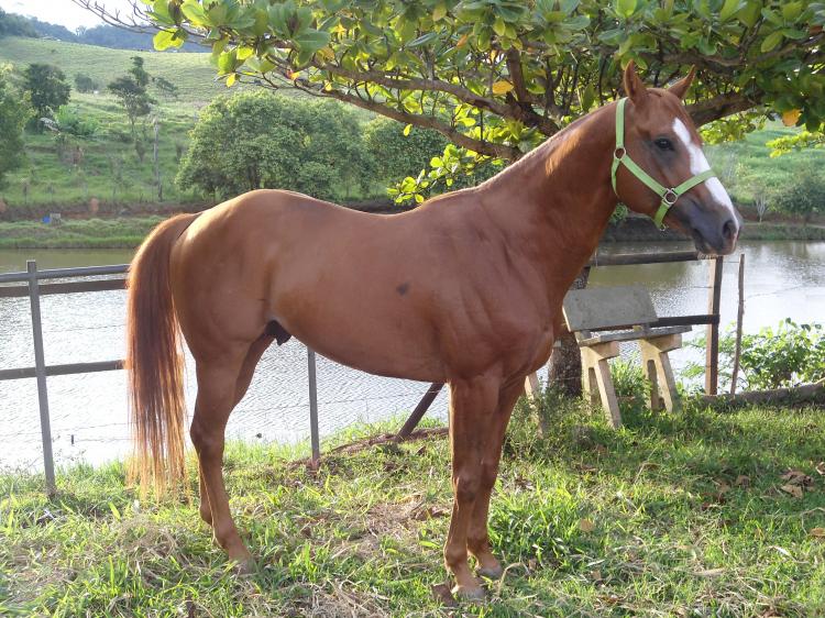 LIGEIRO KET CRR