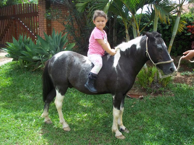 PRÍNCIPE
