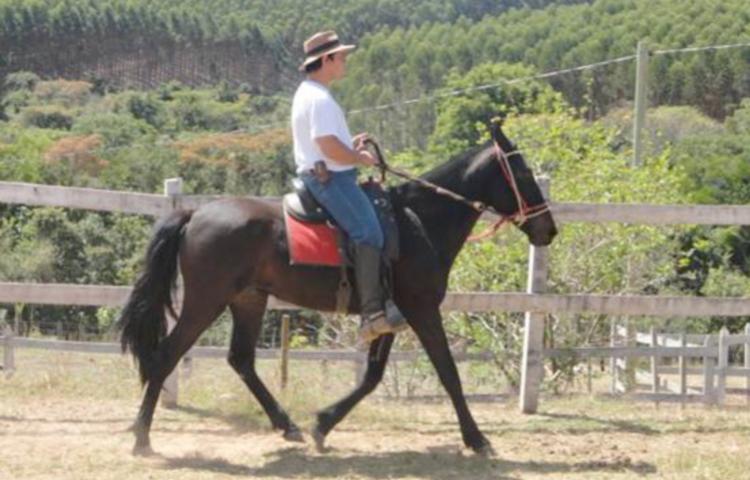 PRÍNCIPE J.S.O.